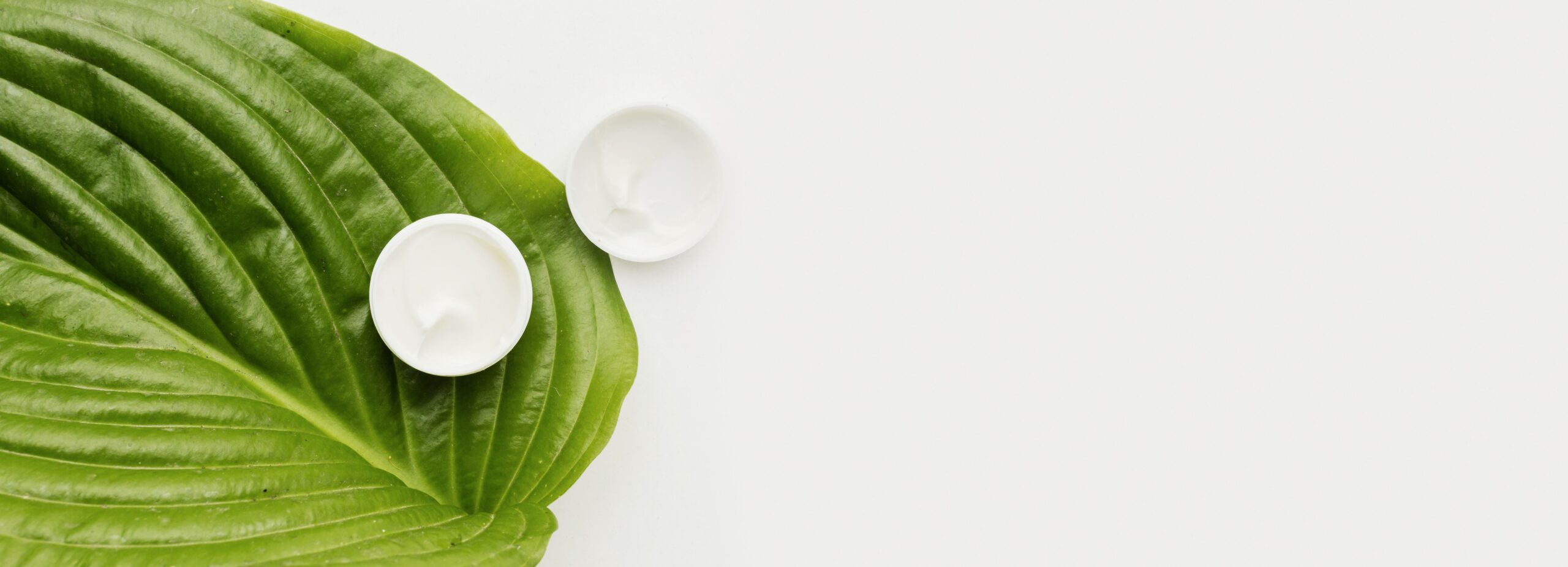 top-view-aroma-candles-leaf-with-copy-space
